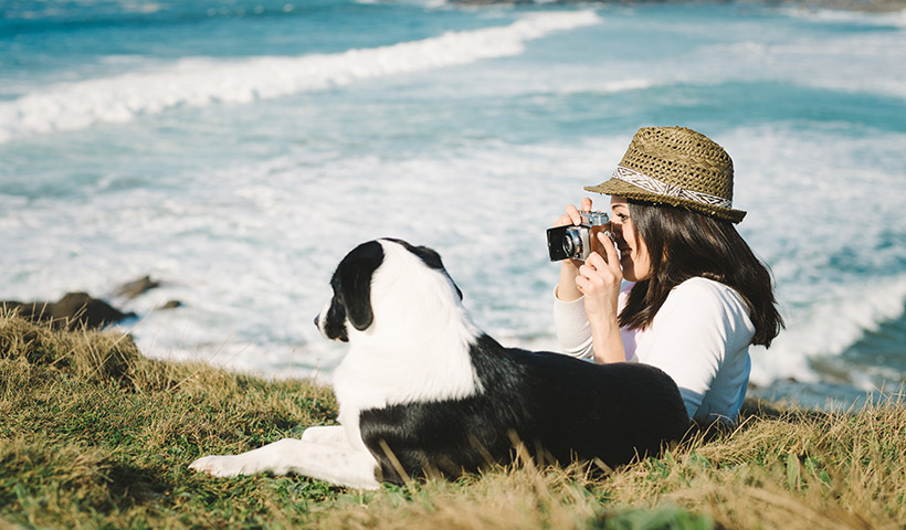 Recomendaciones para viajar seguro con tu mascota