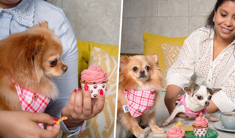 ¿Mamá de un hijo de cuatro patas? Conoce el tea time pet friendly que celebra tu día junto a tu mascota