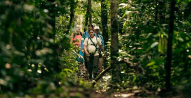 Kuaii Amazonas: donde el bosque te recibe antes de llegar en la Amazonía Peruana