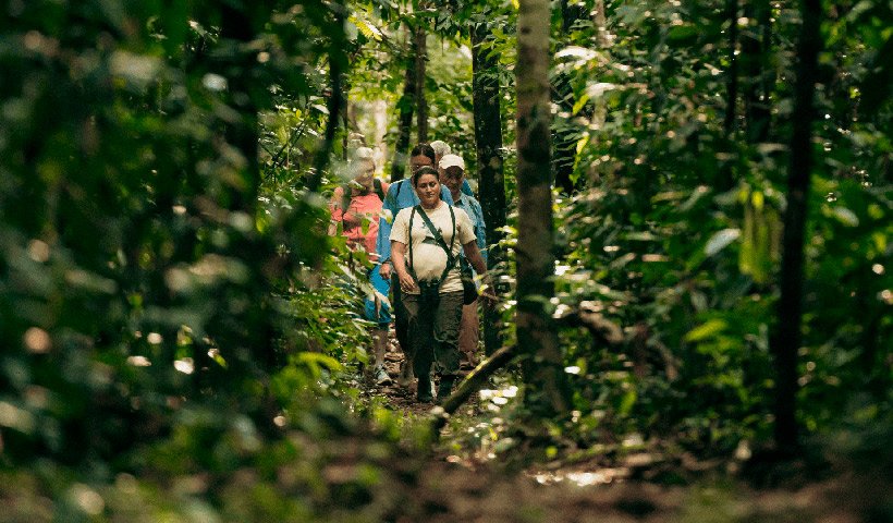 Kuaii Amazonas: donde el bosque te recibe antes de llegar en la Amazonía Peruana